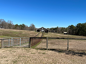 new pasture lease